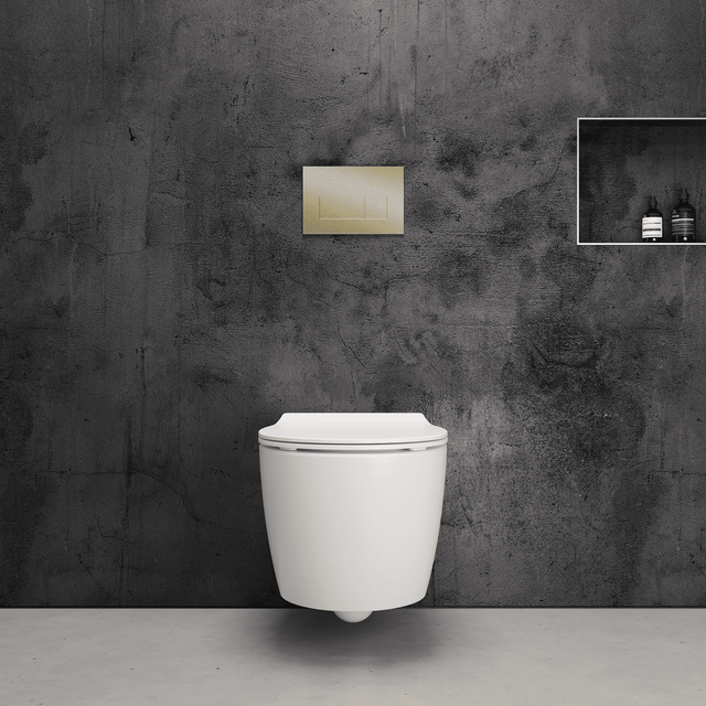 Onia Wall Hung White Toilet Set - with Concealed Frame, Cistern and ...