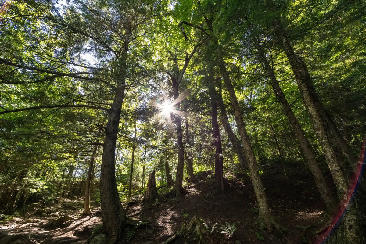 Our Products Help Our Planet